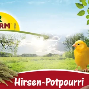 Sparpaket 2 x 50 g JR Farm Hirsen-Potpourri Vogel Snack Bestseller